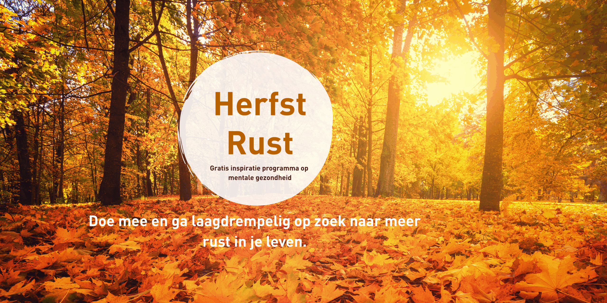 Herfstrust banner website Herfstrust, gratis programma op mentale gezondheid in de herfstvakantie.